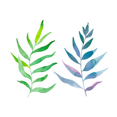 Watercolor set with fresh tropical palm leaves