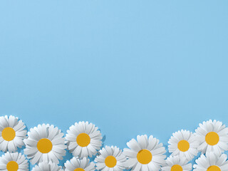 White paper cut daisies 
