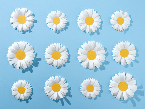 White paper cut daisies 