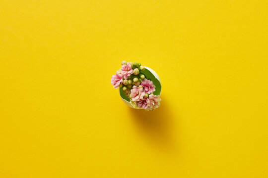 Easter eggshell with blooming flowers