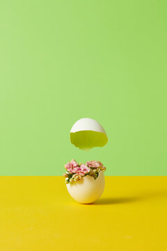 Easter broken egg with flowers