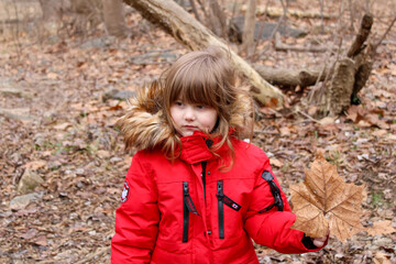 Little Girl Playing With A Leaf In The Woods. 