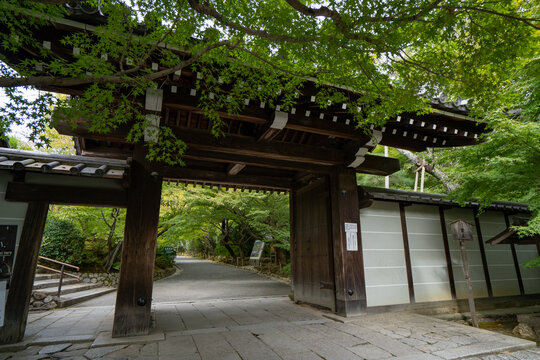 京都 寺 寺院 日本建築 和風 新緑 イメージ