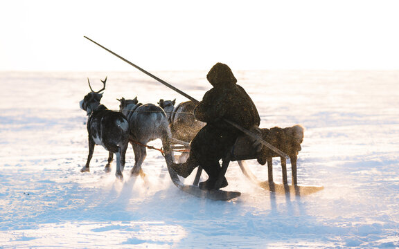 Yamal Bilder – Durchsuchen 4,518 Archivfotos, Vektorgrafiken und Videos