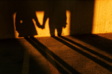 Couple Holding Hands Shadow During Golden Sunset