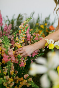 Florist's Hands Arranging Flowers Indoor Garden