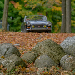 hiding in plain site