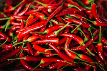 Close-up image of red chillies