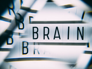 The inscription is the brain.