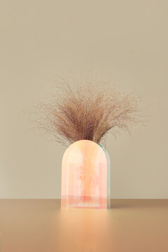 Dry decorative twigs in plastic vase