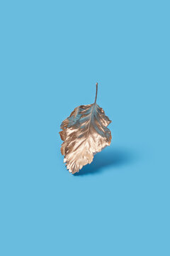 Golden autumn leaf on blue background