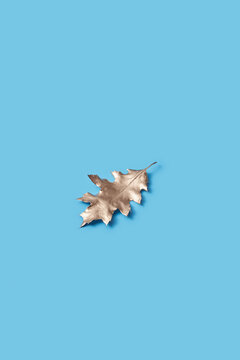 Golden oak leaf on blue background