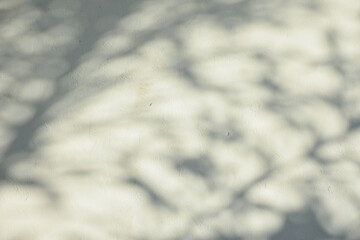 The shadow of the sun shining through the wood