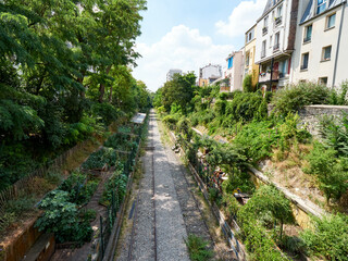 Inner city farming on old railway line, Paris, France