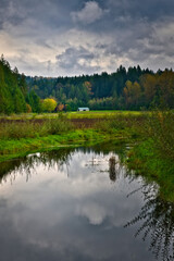 2020-10-26 A OPEN PASTURE WITH STREAM SMALL BARN EVERGREENS AND CLOUDY SKY