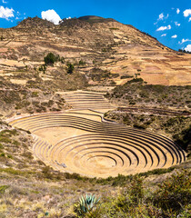 Agricultural terraces at Moray in the Sacred Valley of Peru - obrazy, fototapety, plakaty