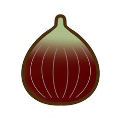 シンプルでかわいい果物のイラスト＿イチジク