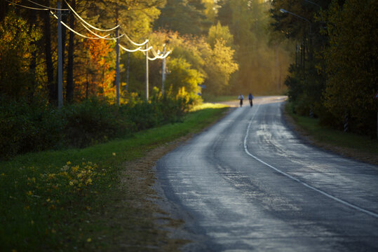 Anonymous couple cycling on rural autumn road on sunset
