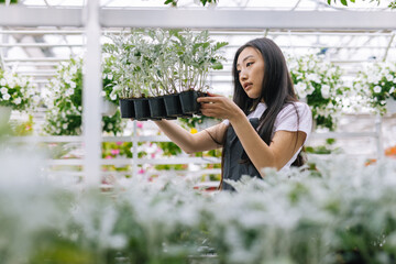 Woman examining plants which growing in farm