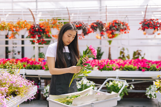 Female worker creating flower arrangement for order