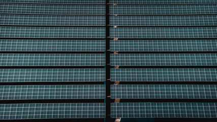 Solar Cell in the Solar Farm. Concept of sustainable of green energy by generate energy power from sunlight.