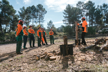 Lumberjacks listening instruction of colleague
