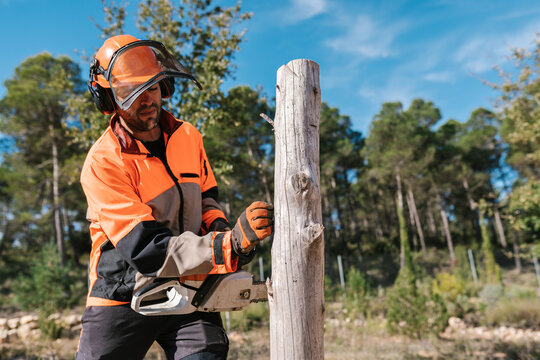 Concentrated lumberjack preparing for sawing log