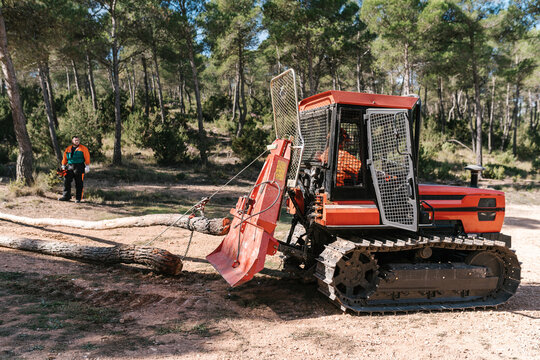 Tractor pulling tree trunks