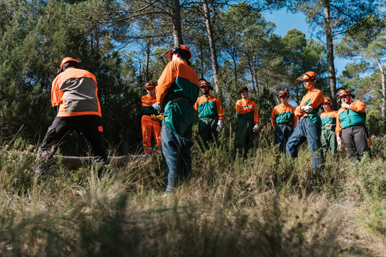 Woodcutters during workshop in forest