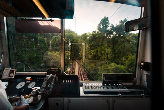 Railway entering the jungle