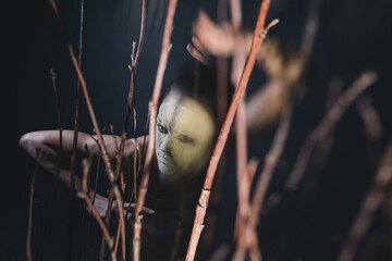 Dance through branches.