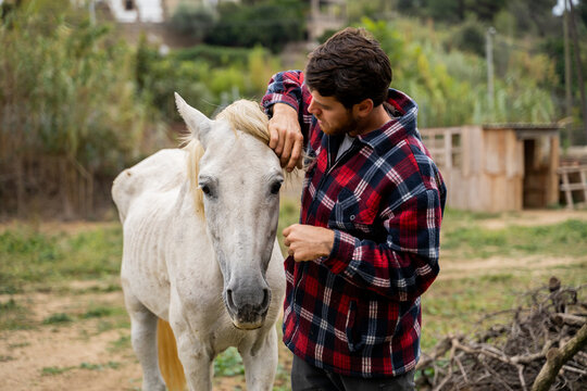 Man tending white horse