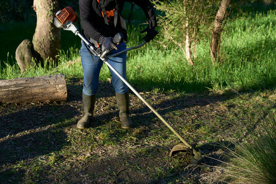 Brush cutter