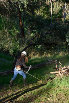 Cutting long grass using a whipper snipper