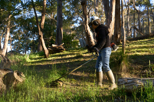 Gardener cutting grass