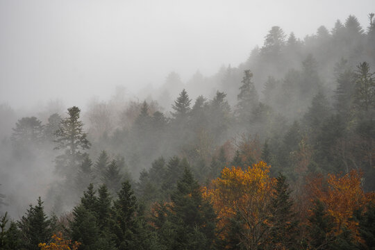 Fototapeta Scenic autumn view 