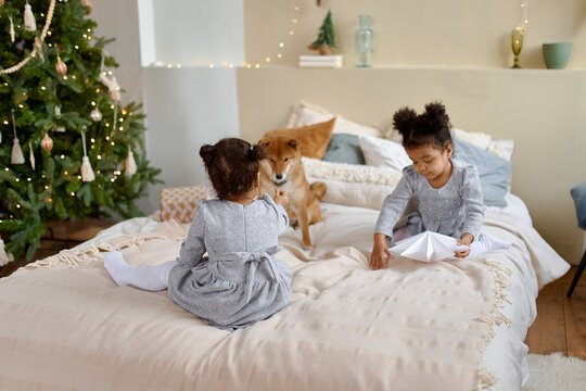 children with a red dog on New Year's holidays
