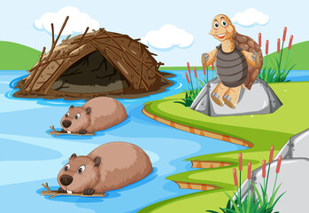 Forest scene with beavers living in dam and a tortoise © blueringmedia