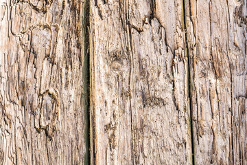 Aged wooden timbers from an abandoned dock .  Ideal background design element.