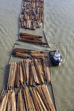 Logs pulled by a tugboat on Fraser River. Aerial View from Port Mann Bridge in Greater Vancouver, British Columbia, Canada.