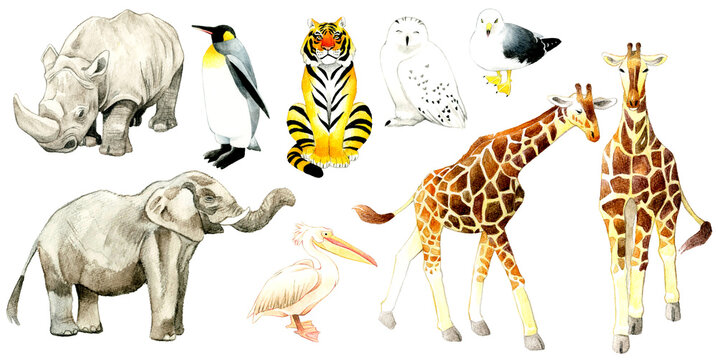 動物園の生き物の絵セット　手描き水彩イラスト素材集