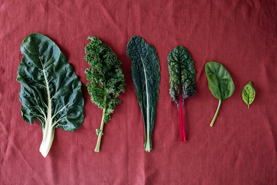 Green ripe leaves of different sizes