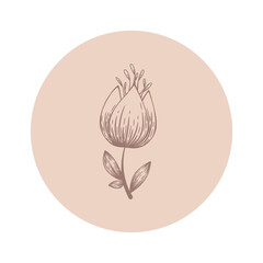 Floral vector round icon with abstract hand drawn flower isolated on white background. Design for logo, highlight covers of social media stories, beauty and cosmetic branding