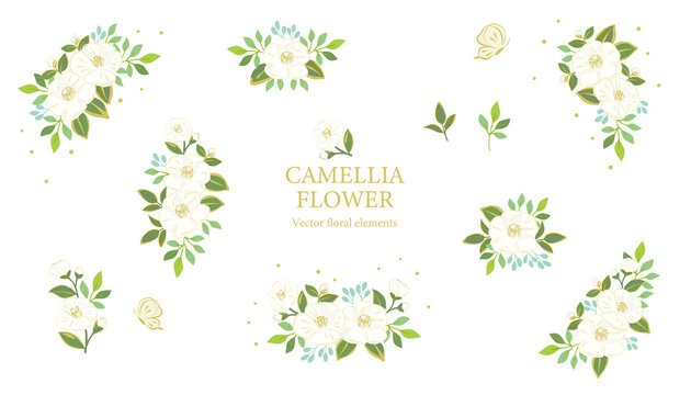 White camellia flowers illustration set, Vector floral elements.