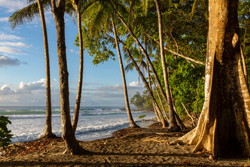 Central America Beach Landscape in Rainforest 