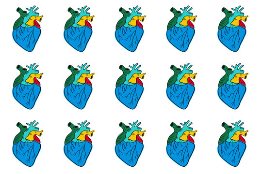 Anatomical heart illustration 