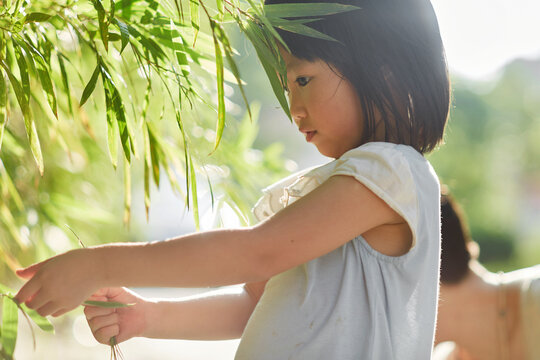 Cute Asian little girl playing with plants

