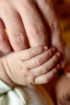 Closeup of newborn Asian baby's hand and mother's hand