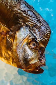 Head of smoked fish.