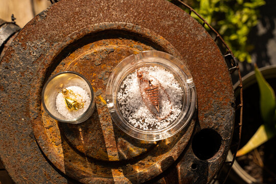 Dowsing pendulums top view